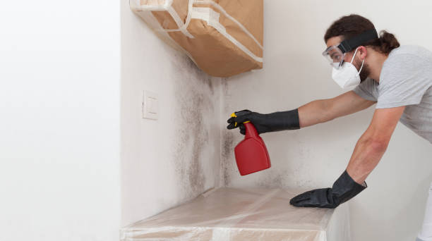 Professional Commercial Mold Remediation technician working in Lewisville, NC